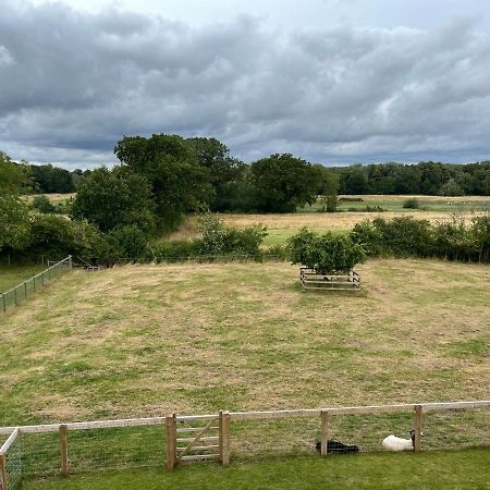 A Newly Renovated, Cosy Escape In The Beautiful Shepherd'S Cottage Dereham Eksteriør bilde